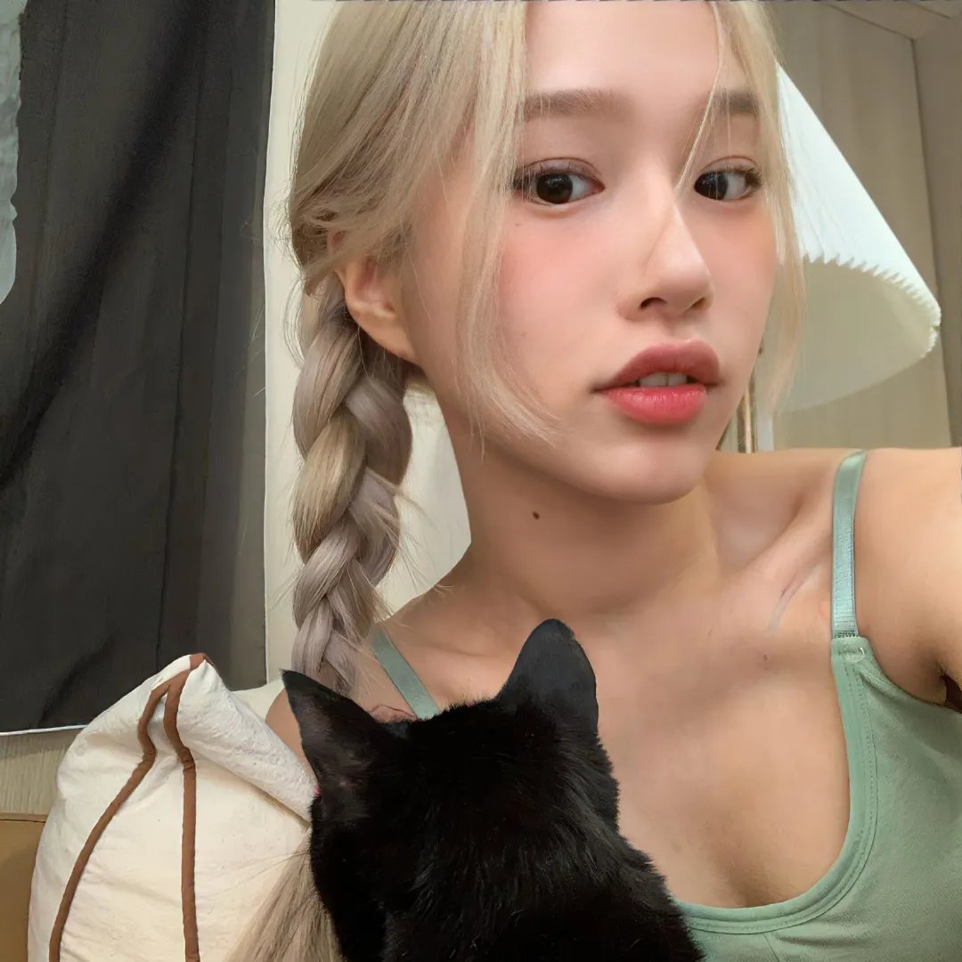 戴洛奇小镇第一季